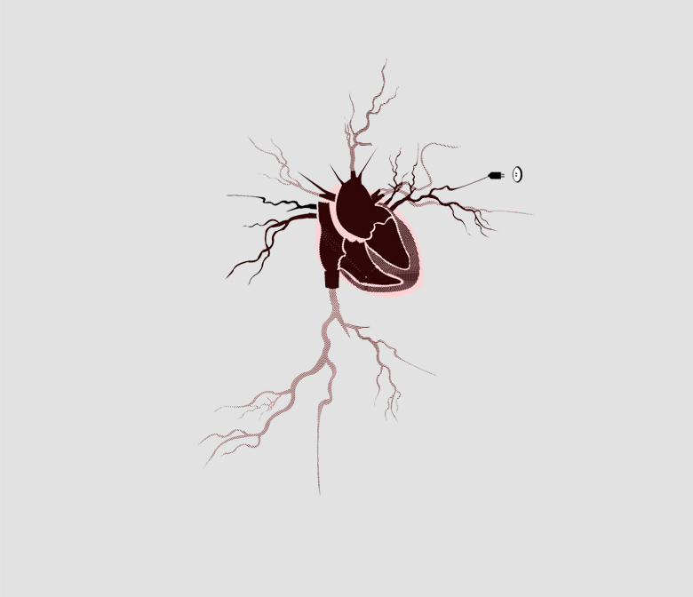 Illustrator and Photoshop
