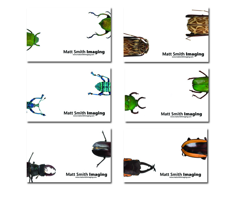 Photohsop and Illustrator
