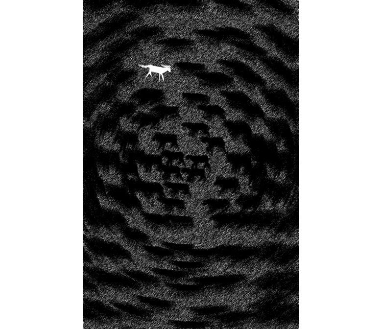 Photohsop and Illustrator