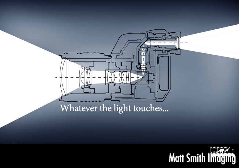 Photoshop and Illustrator