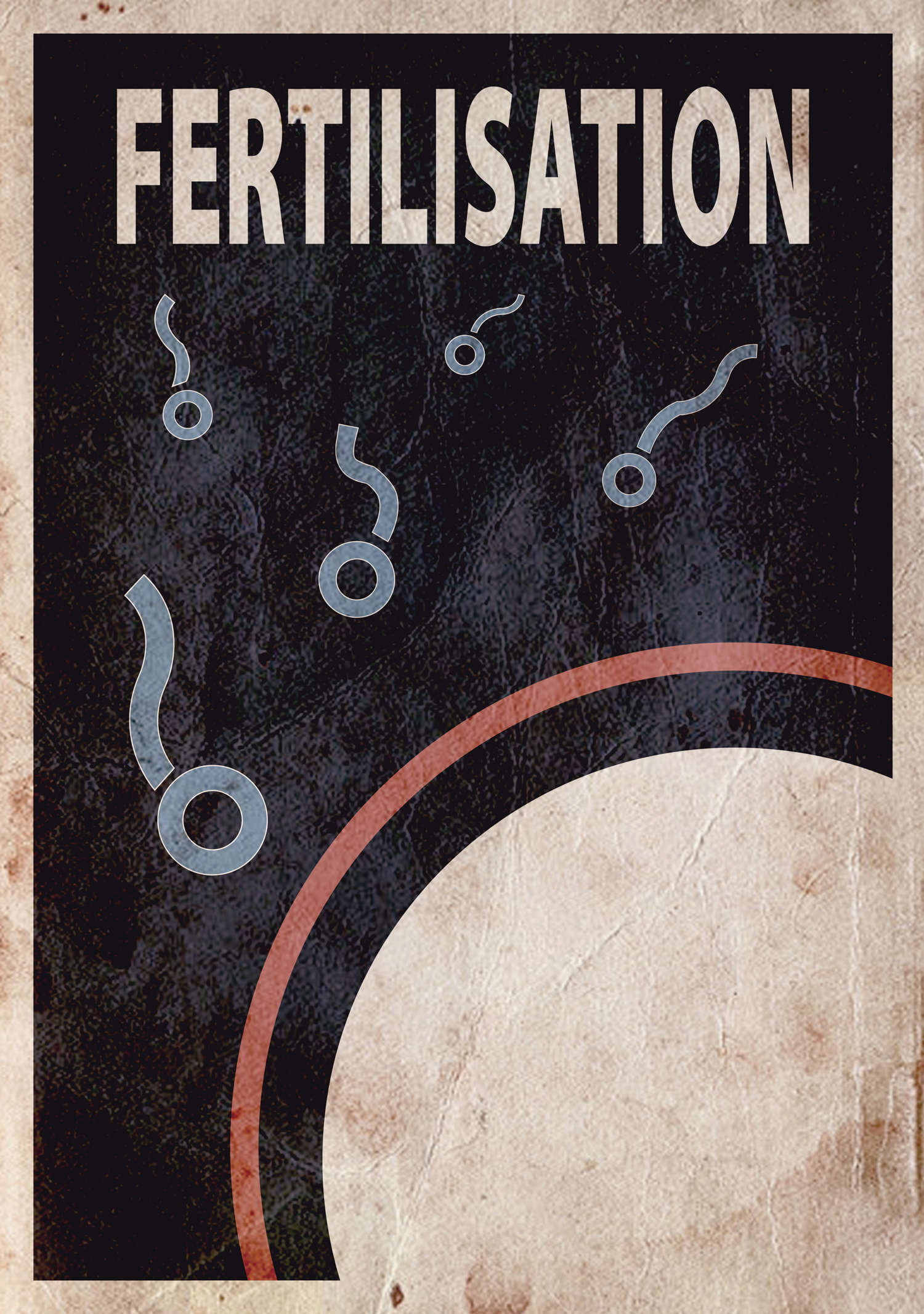 Illustrator