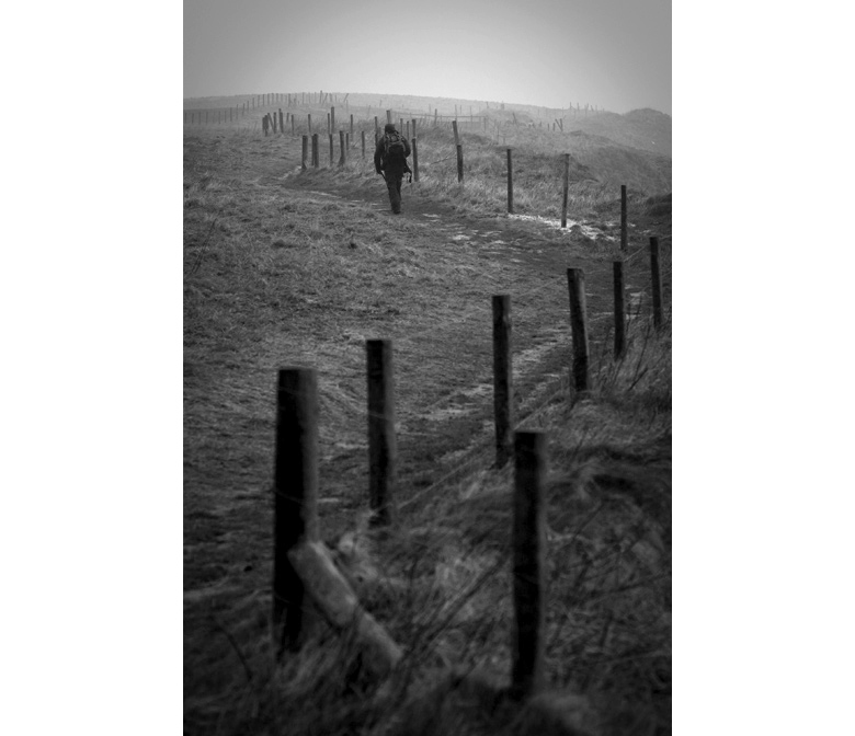 Bempton Cliffs