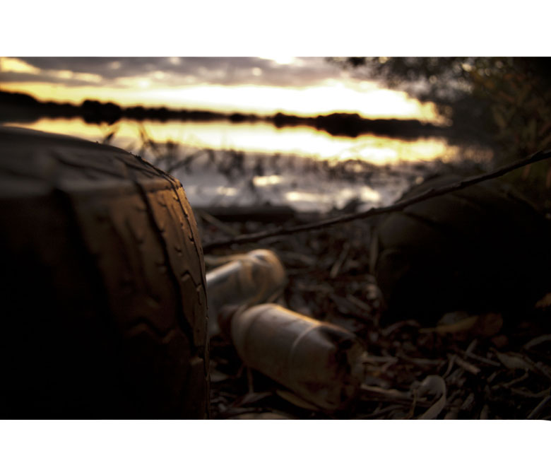 Attenborough Reserve
