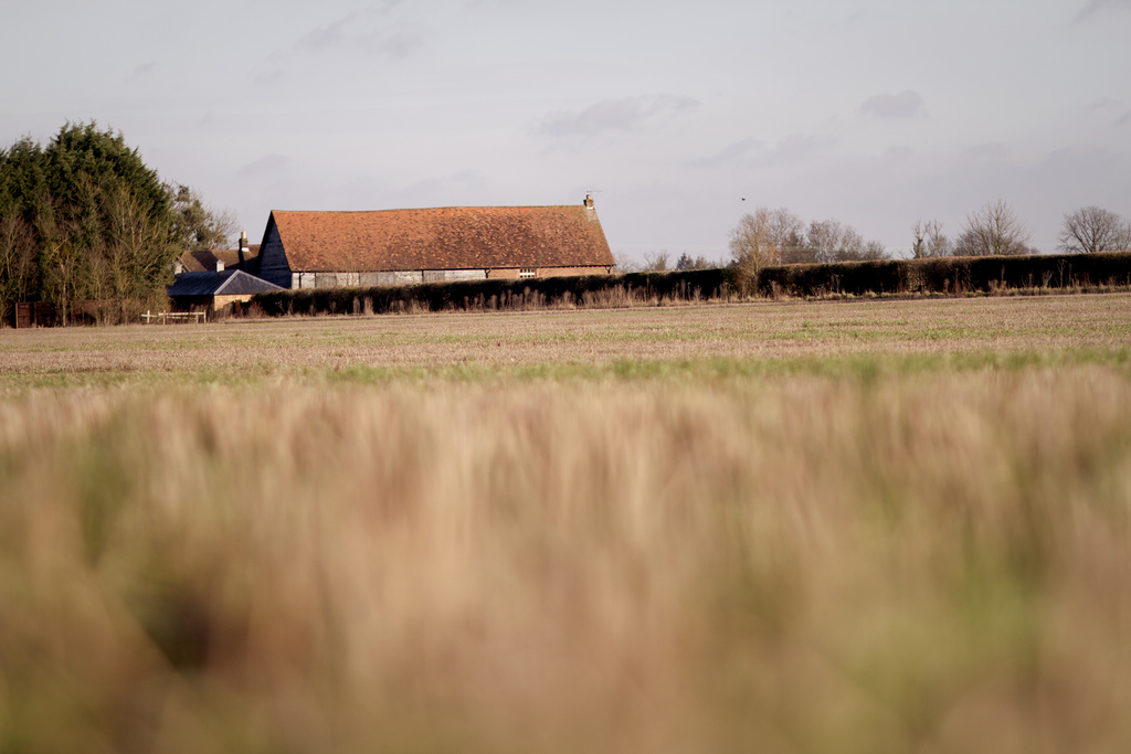Field and building
