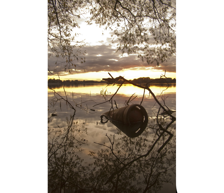 Attenborough Reserve