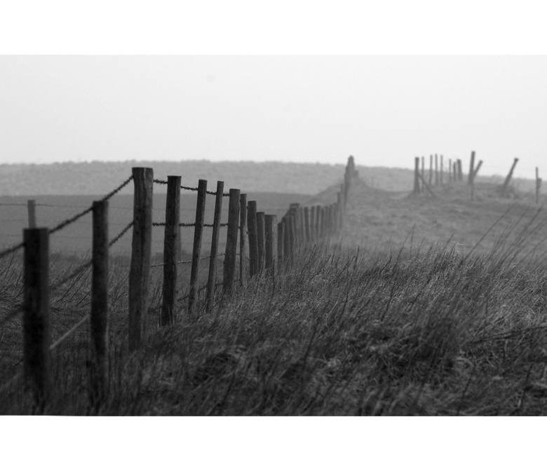 Bempton Cliffs