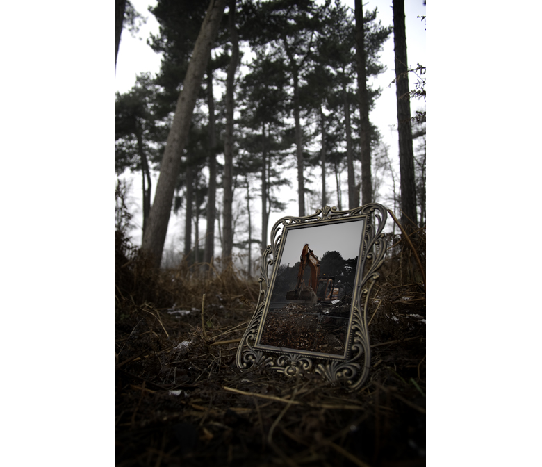 Wollaton Park, Nottingham