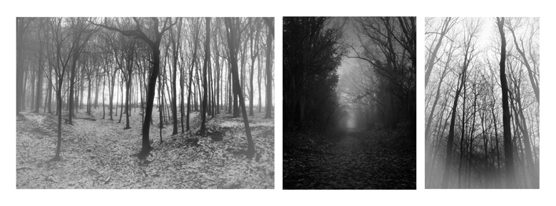 Harpenden, Rothamsted