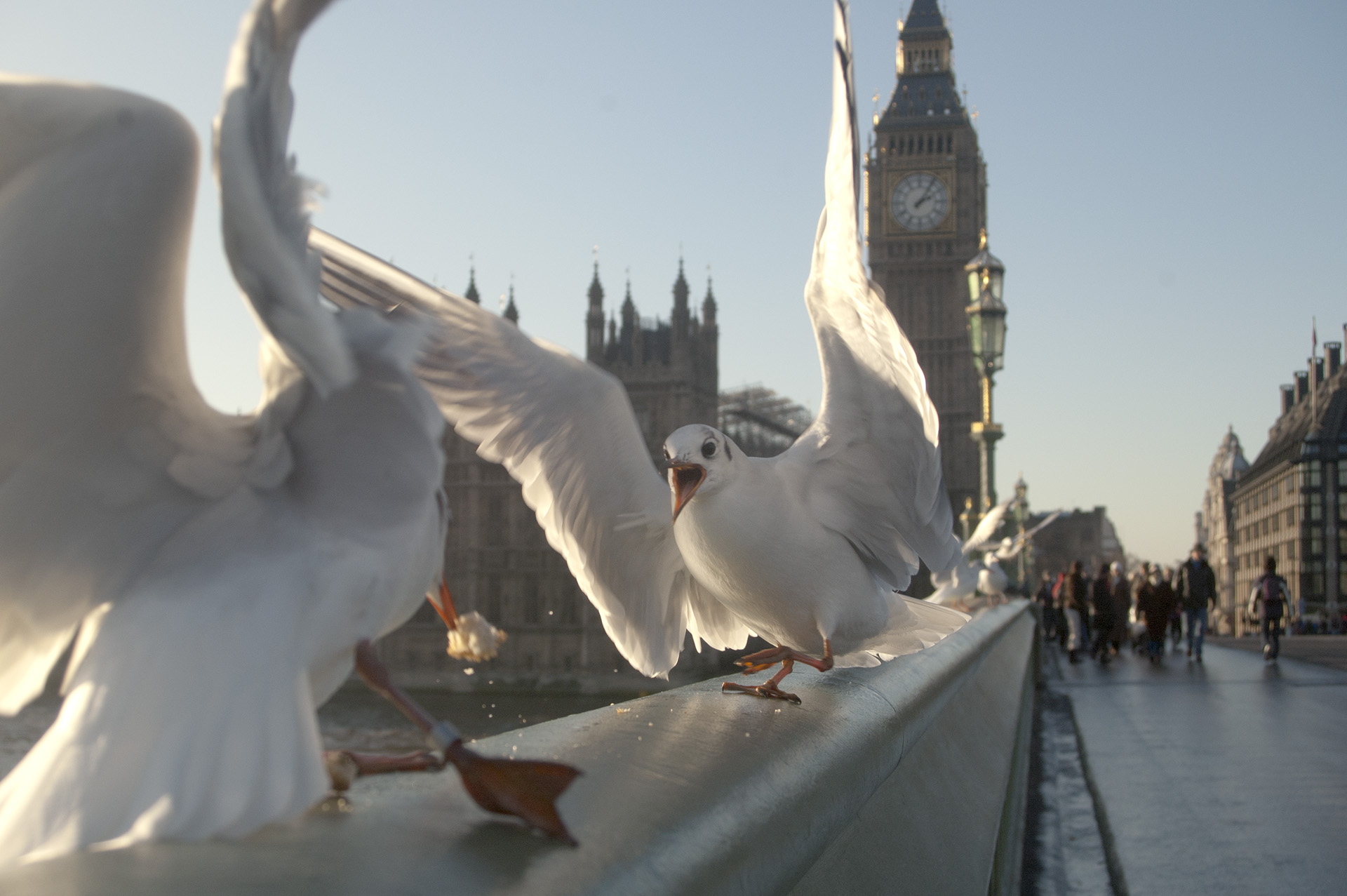 London