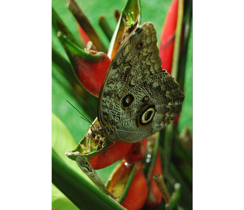 Turrialba, Costa Rica